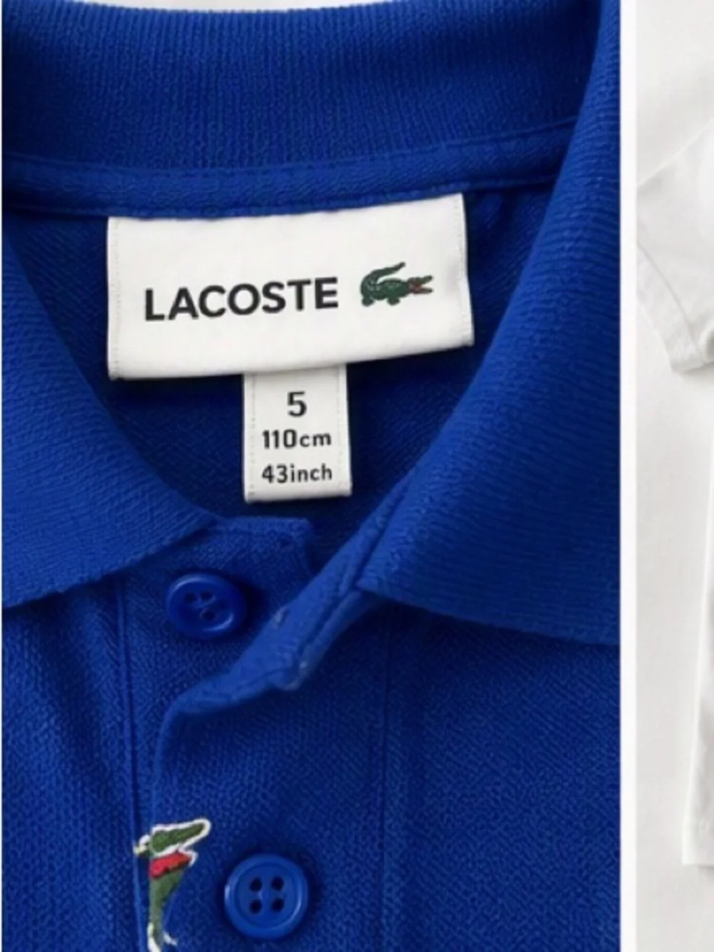 Lacoste Boys Blue Polo with Green Crocodile Print